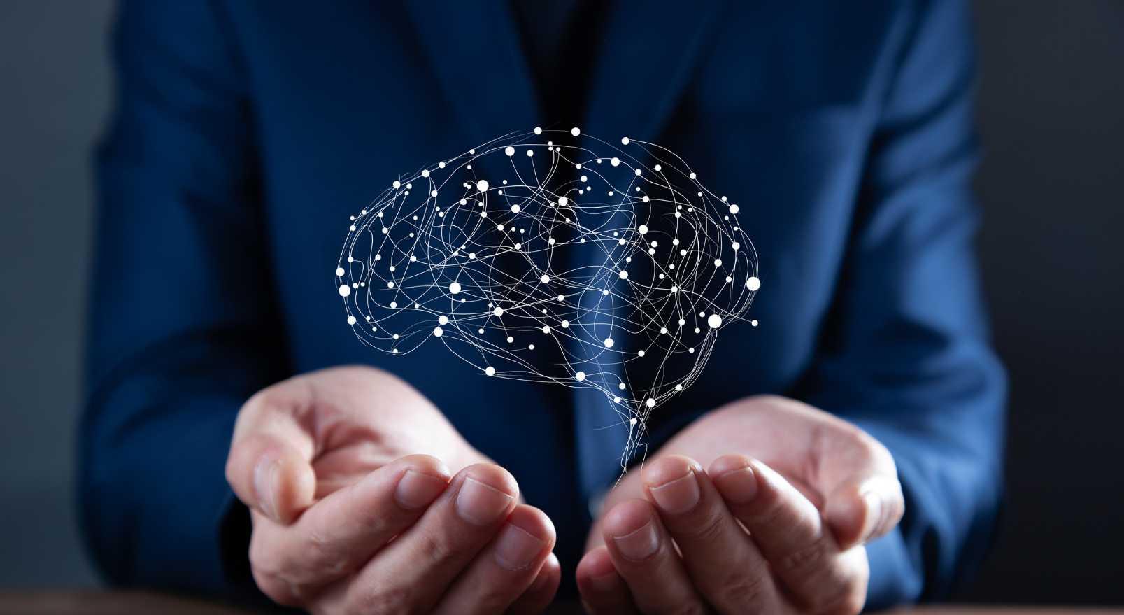 brain development programs