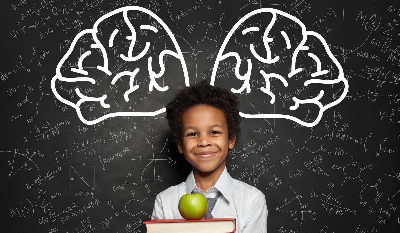 brain training Malaysia